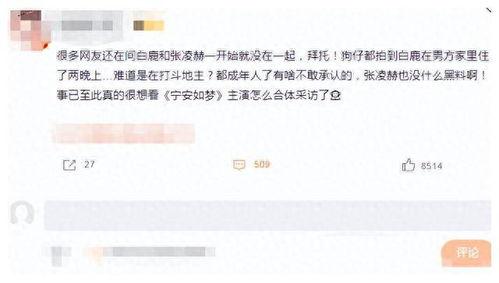 刘大锤爆料白鹿张凌赫的视频